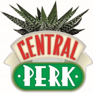 Central Perk Plant Pot Series