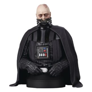 Star Wars bust Darth Vader unhelmeted